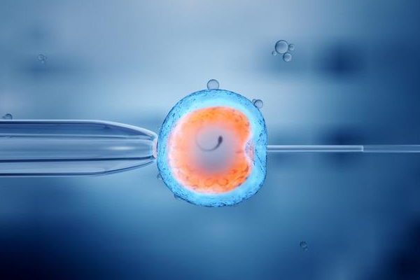 2022南华大学附属第一医院供卵试管婴儿成功率一览？