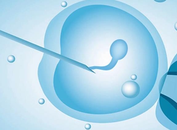 黑龙江试管婴儿医院排名，试管助孕最好的是哪家？