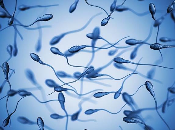 国内单身女性可以买精子做试管吗？