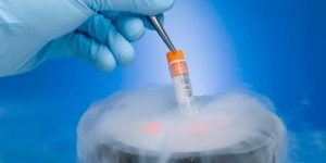 国内医院试管冷冻和解冻胚胎一次费用大概需要多少钱？
