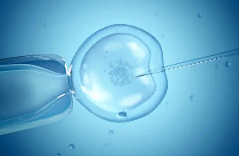 试管婴儿必须做两个吗？做试管都移植两个胚胎吗？