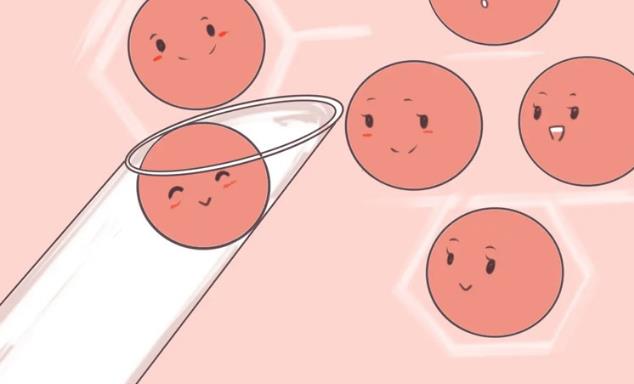 五个基础卵泡打促排针后能成功取多少个卵子？