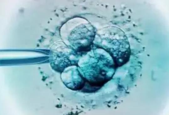 2022年吉大二院做试管婴儿冻胚移植一次大概费用要多少钱?