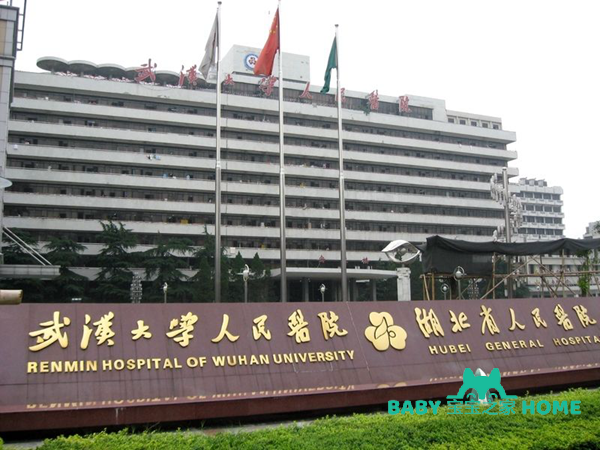 湖北省人民医院试管婴儿价格
