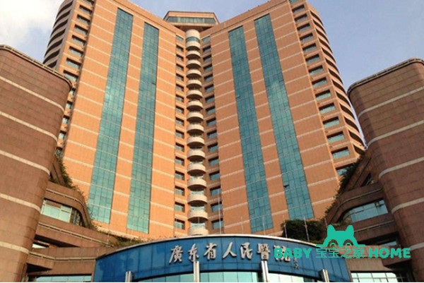 广东省人民医院试管婴儿成功率一览