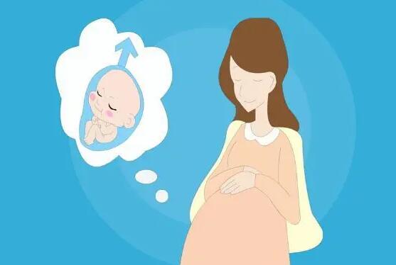 人工胎儿可以选择性别吗？附详细介绍？