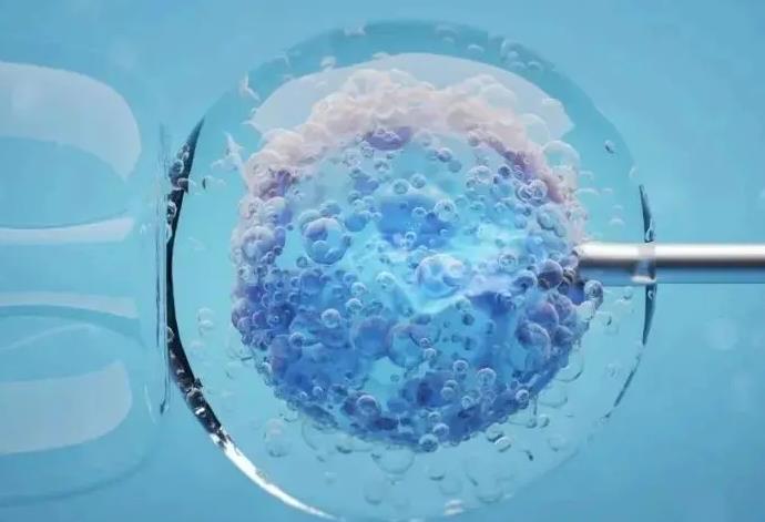 试管冻胚胎需要多少钱?国内试管冻胚解冻需要多少钱？
