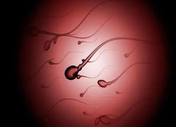 精子碎片高可以做试管婴儿吗？精子碎片率高能做第二代试管吗？