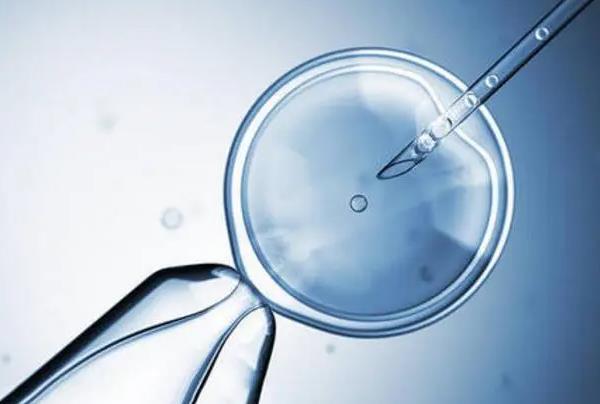 武汉大学中南医院可以做供卵试管婴儿吗，附供卵试管生男孩费用明细！