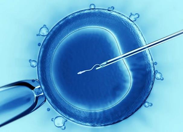 杭州供卵试管婴儿医院排名哪家最好，附试管助孕机构成功率一览！