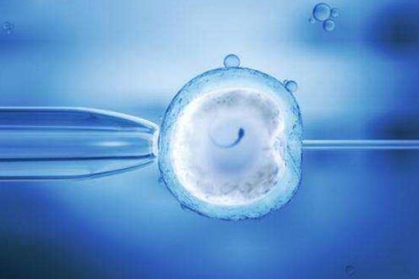 贵阳供卵试管婴儿生子医院排名，附试管助孕机构一览！