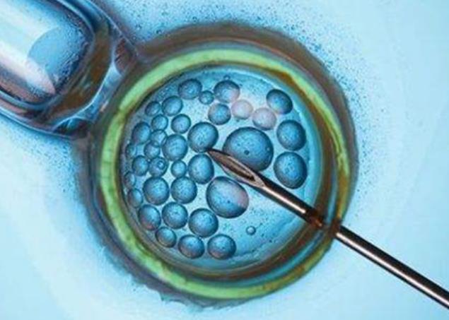 可以借用老婆姐姐的卵子在国内正规医院做供卵试管婴儿吗？