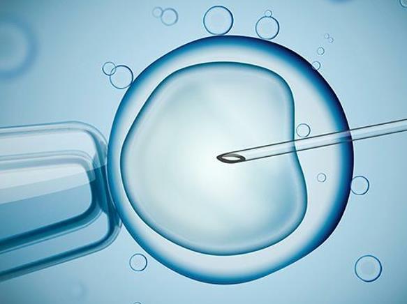 郑州供卵试管生子机构排名，附2023供卵生男孩费用一览！