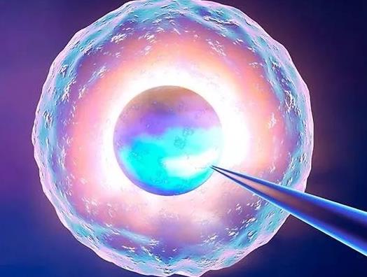 冷冻胚胎和鲜胚哪个更好,新鲜胚胎和冷冻胚胎有区别吗？