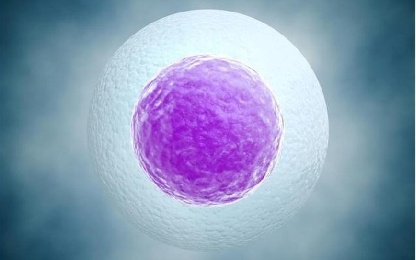 47岁绝经女性做供卵试管可以成功吗？47岁女性做供卵试管的成功率有多少？