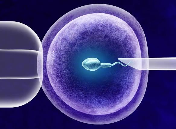 2023年河南省供卵试管助孕生子机构排名，附供卵助孕医院名单！