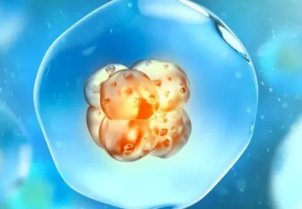 湖南试管婴儿医院排名前五，附2023三代供卵试管生男孩条件一览！