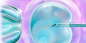 2023江西供卵试管代怀生子医院排名，附正规生殖中心供卵排队时间！