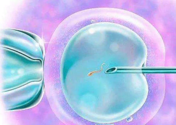 2023江西供卵试管生子医院排名，附正规生殖中心供卵排队时间！