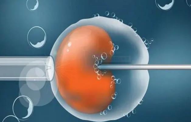 湖北合法供卵试管医院排名，附2023年武汉私立供卵机构一览！