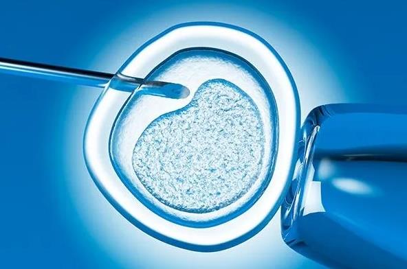 深圳供卵助孕代生机构排名前十的有哪些？