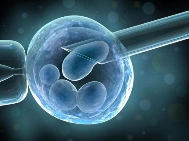 2023年国内正规借卵生子助孕机构排名一览！