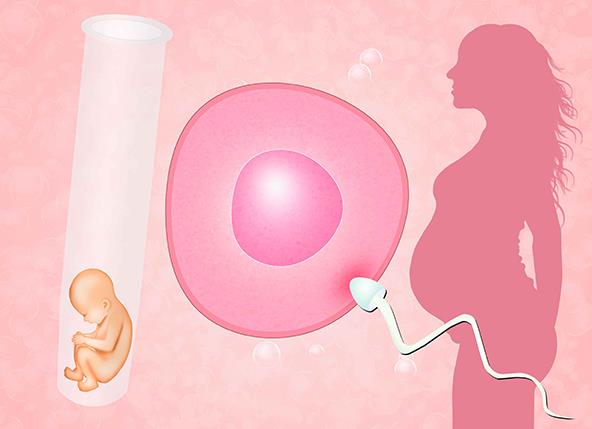 幼稚子宫能试管婴儿吗，幼稚子宫女性怎么怀孕？