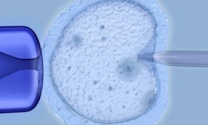 冷冻胚胎移植第三天第三天忽然什么感觉都没有正常吗？