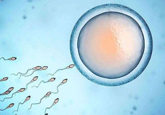 男性Y染色体微缺失造成的不孕，可以通过试管婴儿顺利怀上宝宝吗？