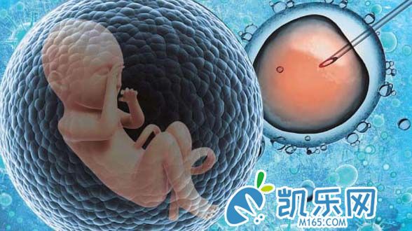 试管婴儿会比自然受孕胎儿身体差吗?(图2)