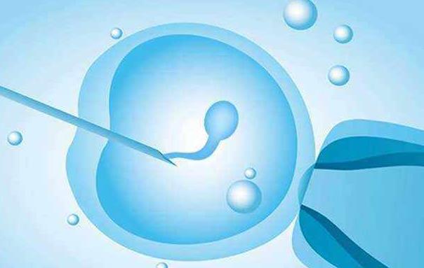 2022哈尔滨供卵试管公立医院排名一览，哈尔滨最好的供卵机构推荐？