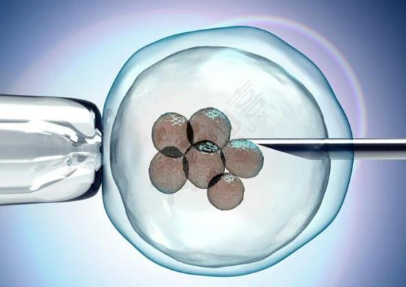 试管婴儿女性囊胚移植成功最明显的感受是什么？