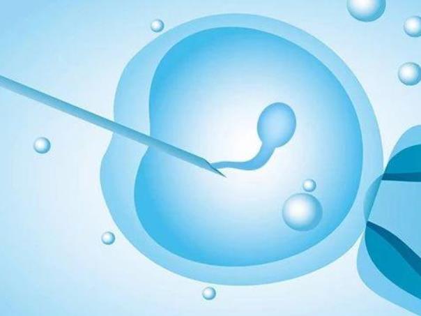 中南大学湘雅医院可以做供卵三代试管婴儿吗？成功率高吗？
