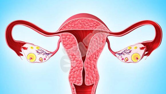 卵巢早衰做试管的成功率是多少？用什么办法进行试管婴儿？(图3)