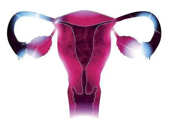 无子宫能做人工受孕吗？无子宫对试管有影响吗？