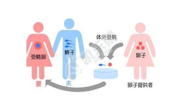洛阳市妇幼保健院能做供卵试管婴儿吗 附费用介绍(图1)
