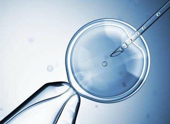 2022年武供卵试管婴儿医院排名一览，哪家上榜了？