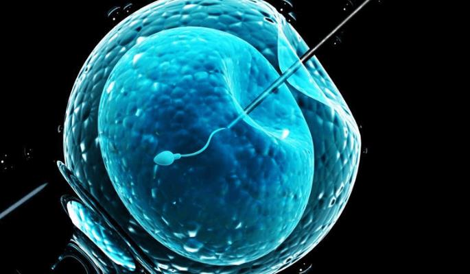 2022湖南生殖医院排名前十，试管助孕成功率一览！