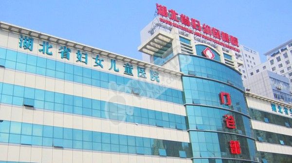 2022湖北省妇幼保健院试管婴儿费用