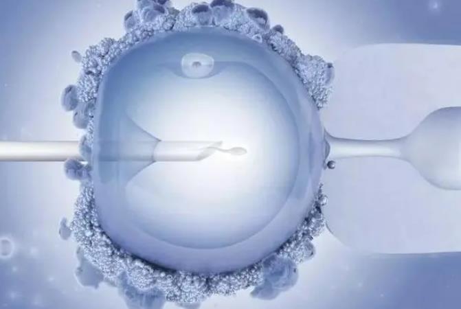 山东大学齐鲁医院可以做供卵试管婴儿吗？附费用与成功率参考？