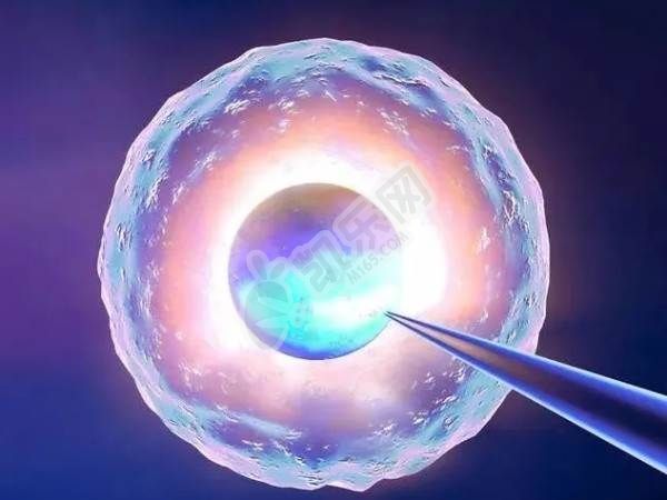 试管婴儿自然周期方案第一次移植冻胚需要注意哪些事项
