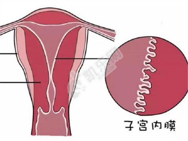 试管婴儿人工周期方案移植前子宫内膜是不是都是C型