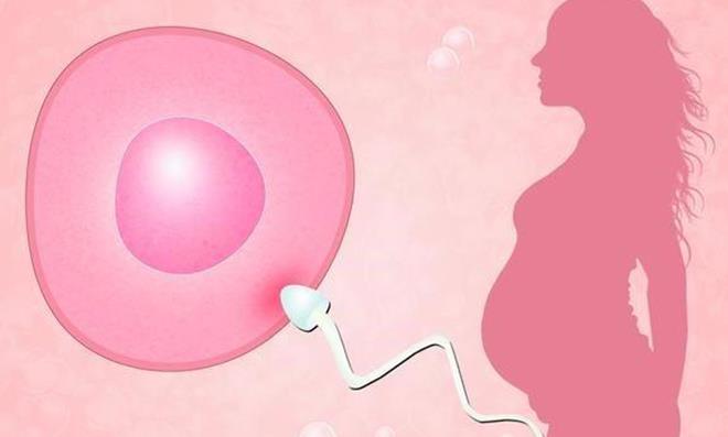 女性闭经可以做试管婴儿吗？闭经女性也能拥有再生育的机会！