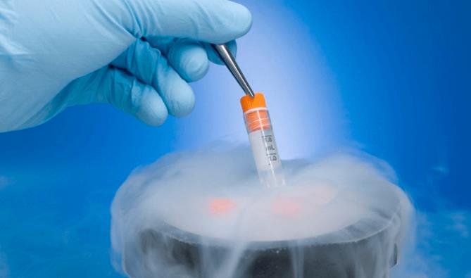 国内胚胎解冻的费用大约是多少？