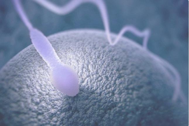 2022年成都最权威的试管医院排名，供卵试管助孕机构一览？