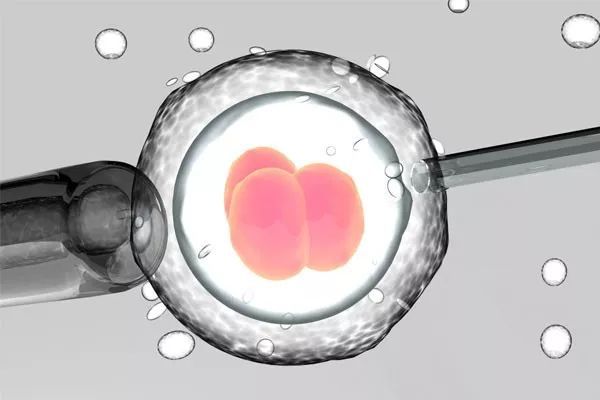 2022安徽供卵试管成功率最高的医院排名，附试管生男孩经验分享！