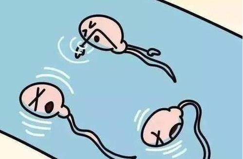 单身女性可以买精子做试管婴儿吗？