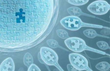 重庆哪些医院可以做供卵试管婴儿？供卵助孕机构名单？