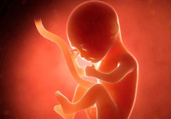 武汉三代试管婴儿助孕技术包生男孩是真的吗？