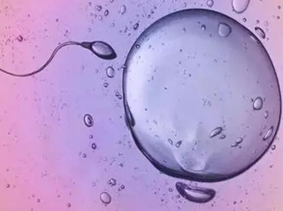 乌鲁木齐供卵试管婴儿医院排名哪家最好，附试管助孕机构一览！